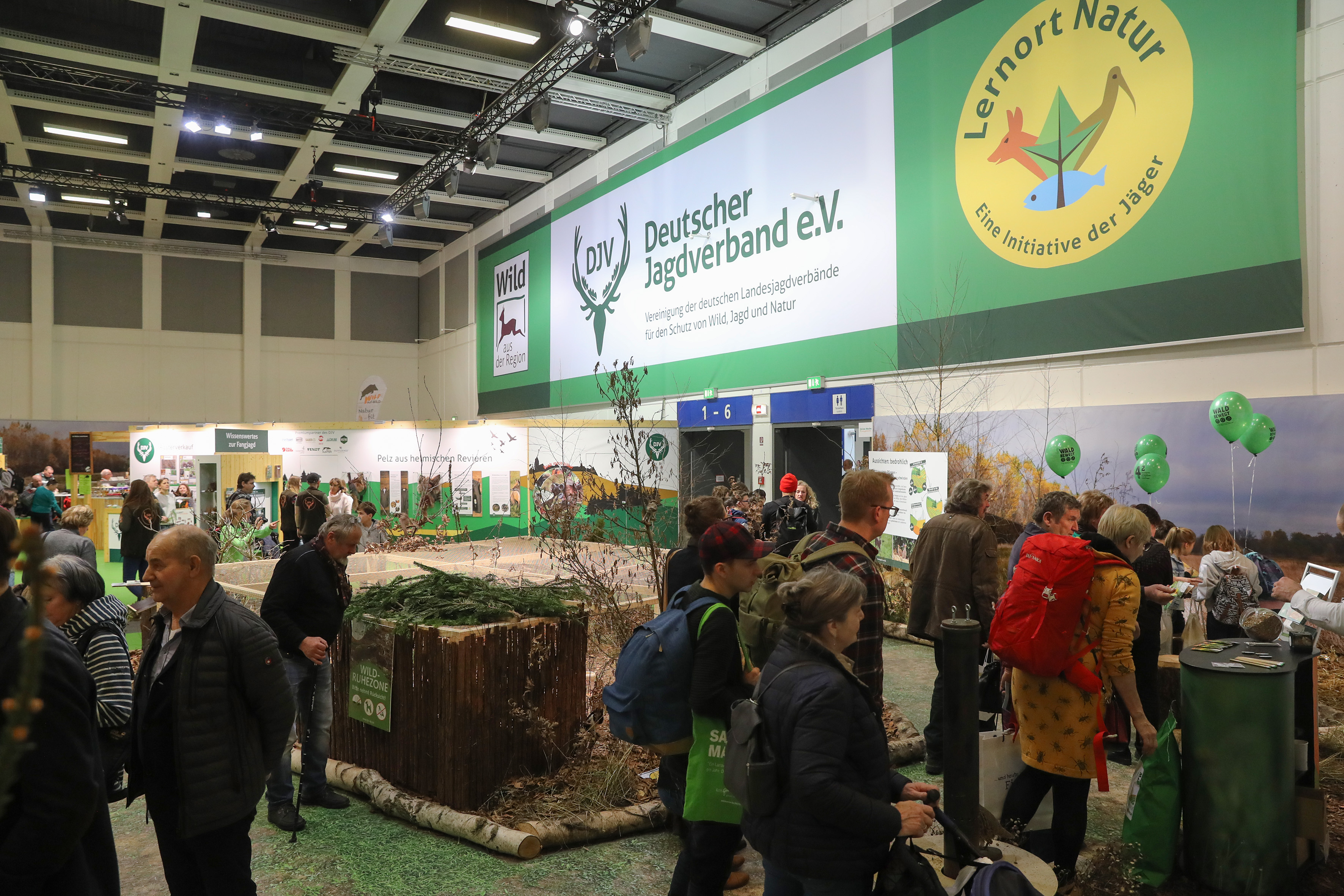 IGW 2019