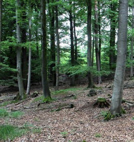 Abb13