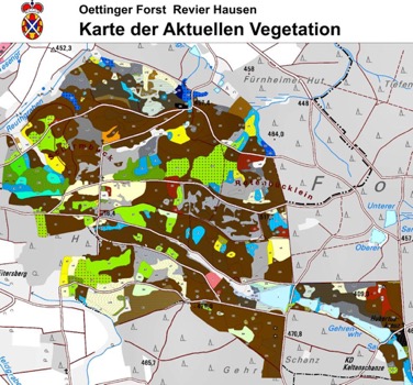 Vegetation