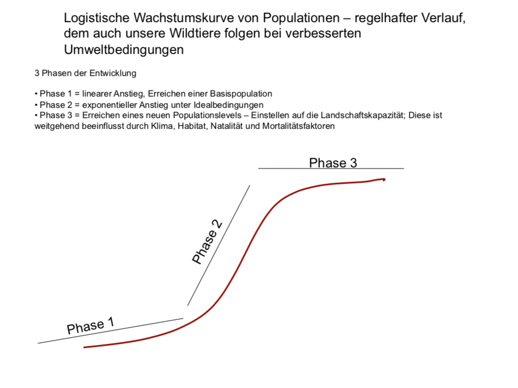 Bildschirmfoto 2019-05-08 um 18.07.54