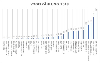 Abbildung 1